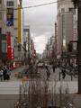 鸫