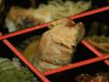 紅鱒の西京焼きと杏のシロップ煮